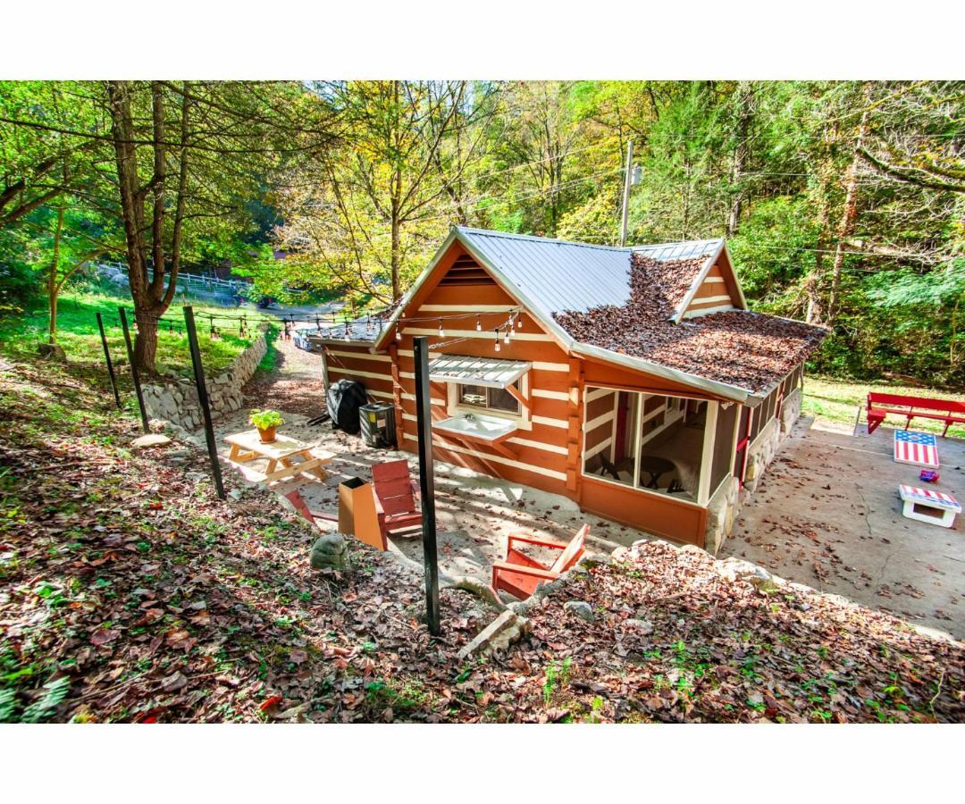 Beary Relaxing Cabin - Rustic With Outdoor Patio 汤森德 外观 照片
