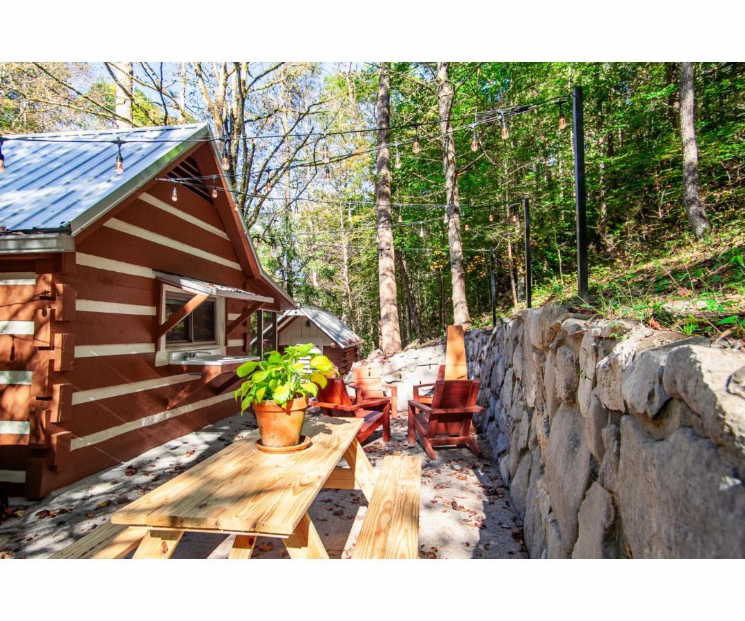 Beary Relaxing Cabin - Rustic With Outdoor Patio 汤森德 外观 照片